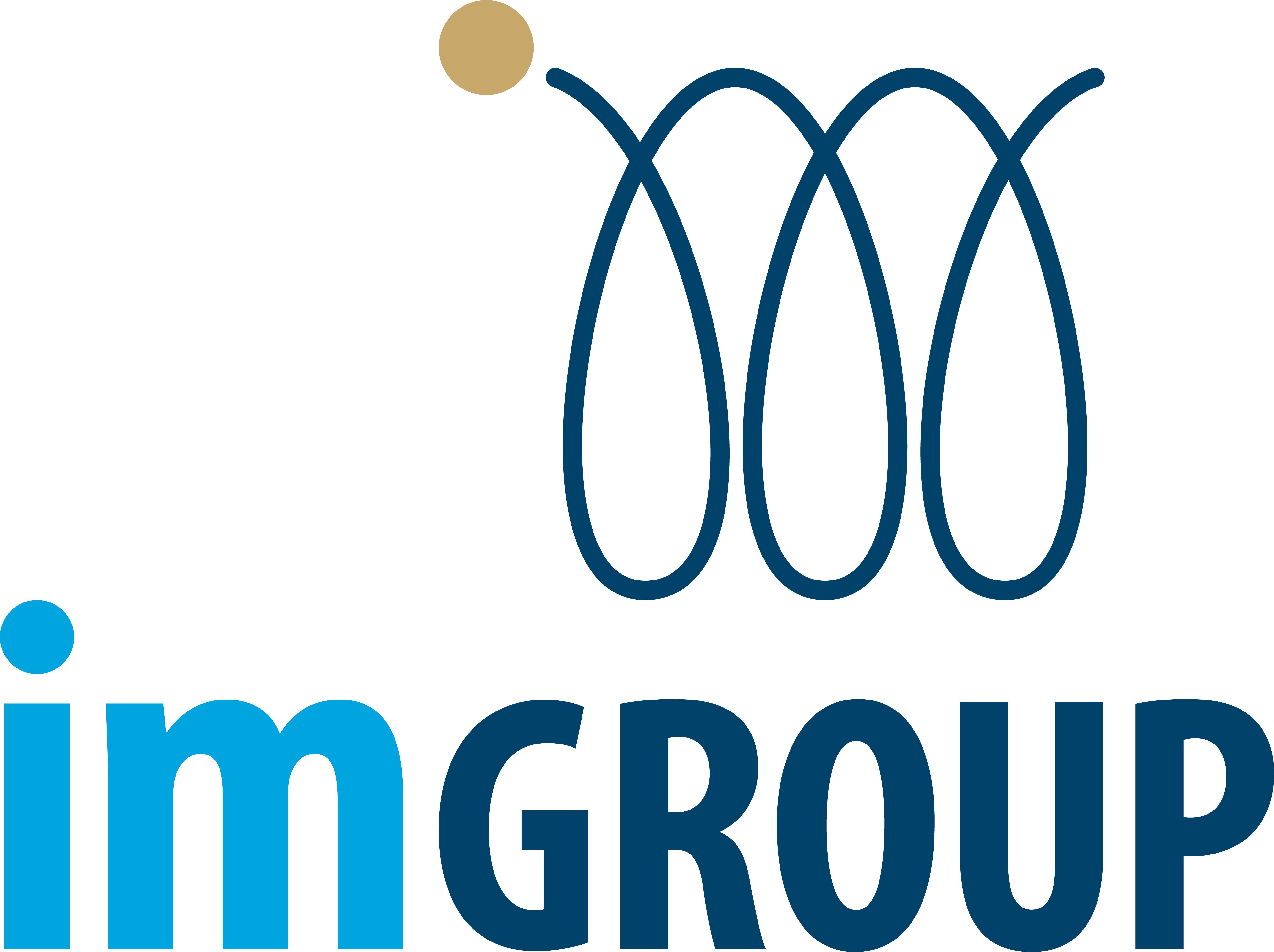 IM Group